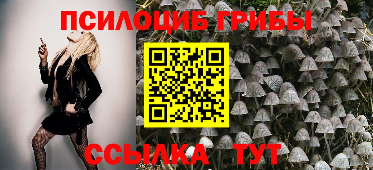 Галлюциногенные грибы Magic Shrooms Реутов